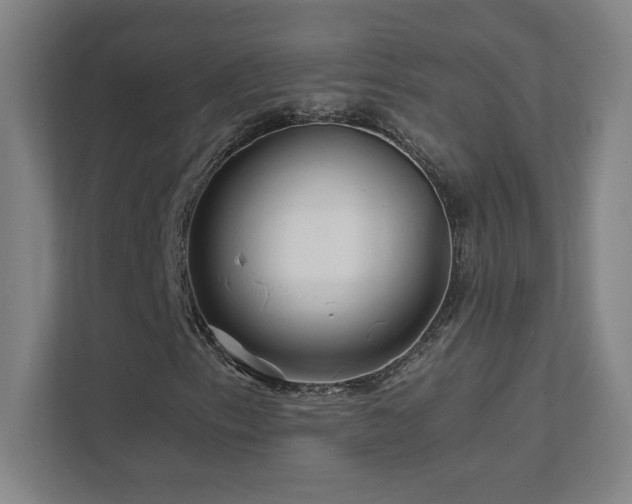 X0000111791153200907231137