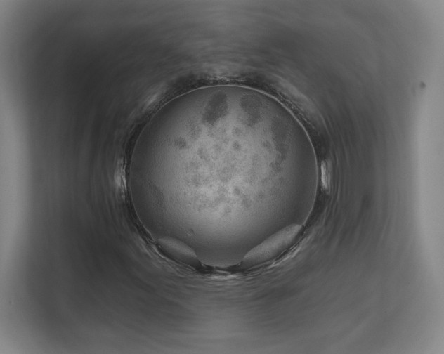 X0000111791155200907231137