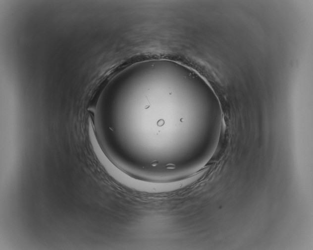 X0000111791157200907231137