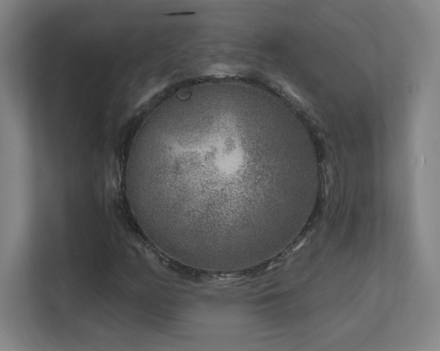 X0000111791158200907231137