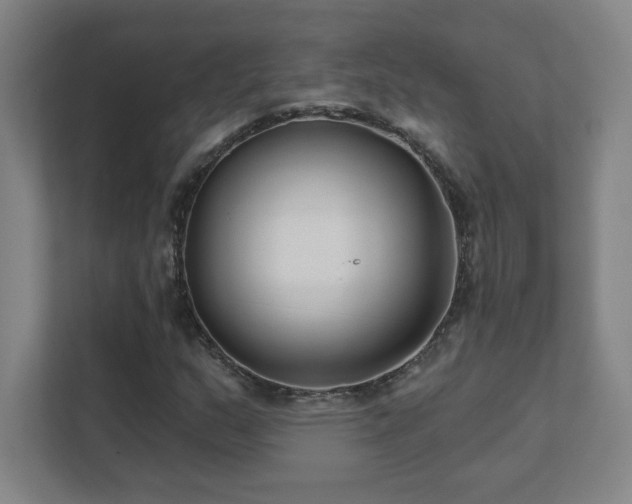 X0000111791159200907231137