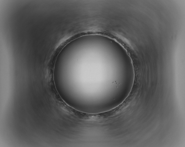 X0000111791160200907231137