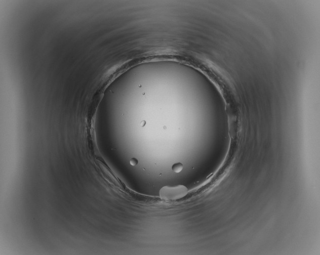 X0000111791161200907231137