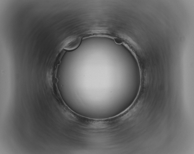 X0000111791162200907231137