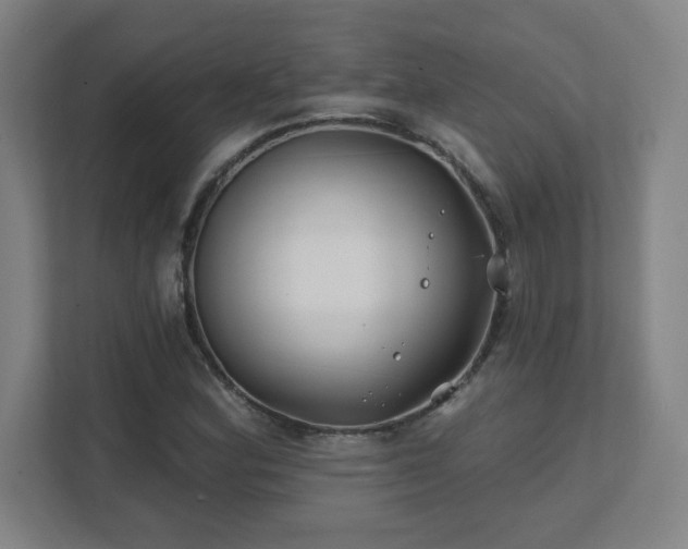 X0000111791164200907231137