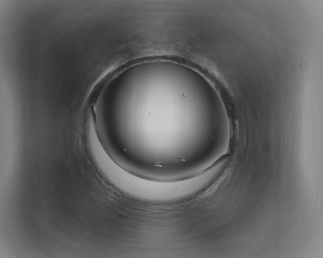 X0000111791165200907231137