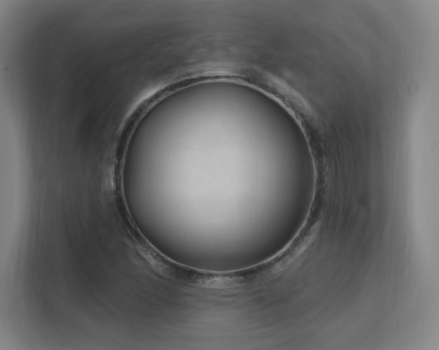X0000111791166200907231137