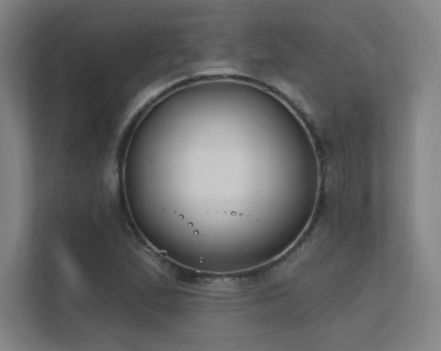 X0000111791167200907231137