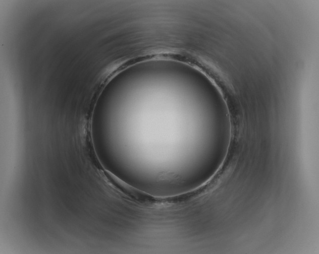 X0000111791169200907231137