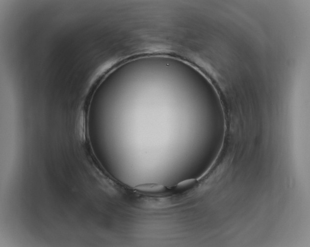 X0000111791171200907231137