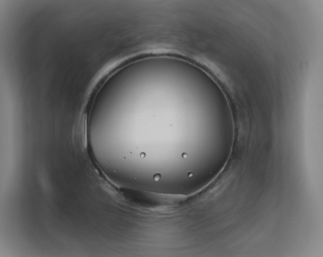 X0000111791175200907231137