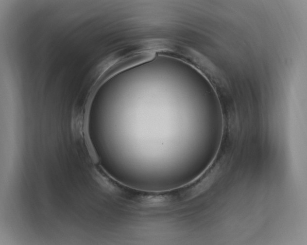 X0000111791177200907231137