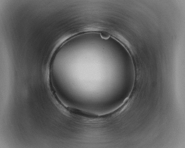 X0000111791179200907231137