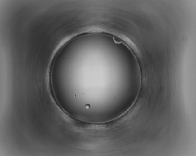 X0000111791183200907231137