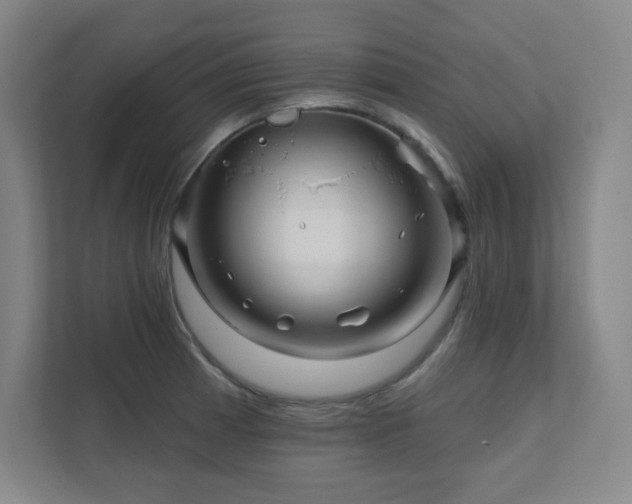 X0000111791185200907231137