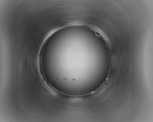 X0000111791187200907231137