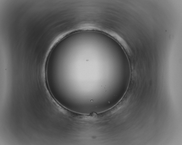 X0000111791191200907231137