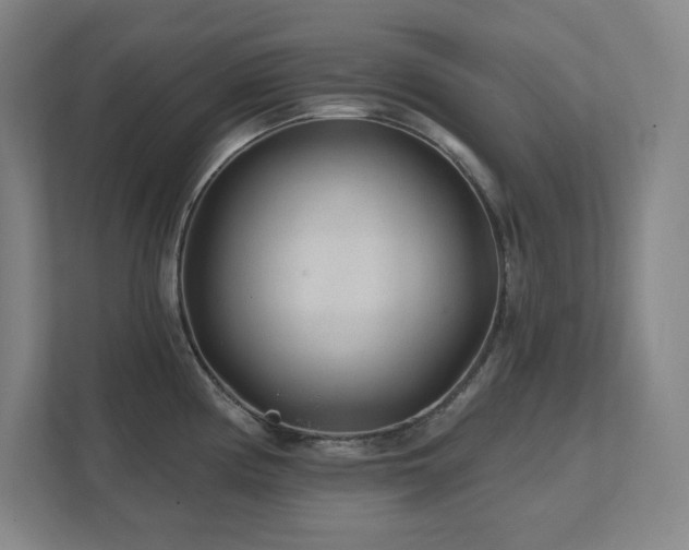 X0000111791194200907231136