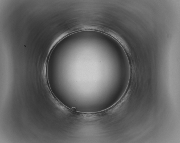 X0000111791198200907231136