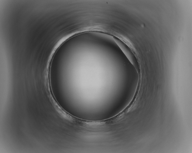 X0000111791200200907231136