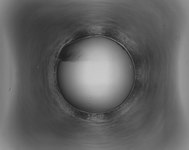 X0000111791201200907231136