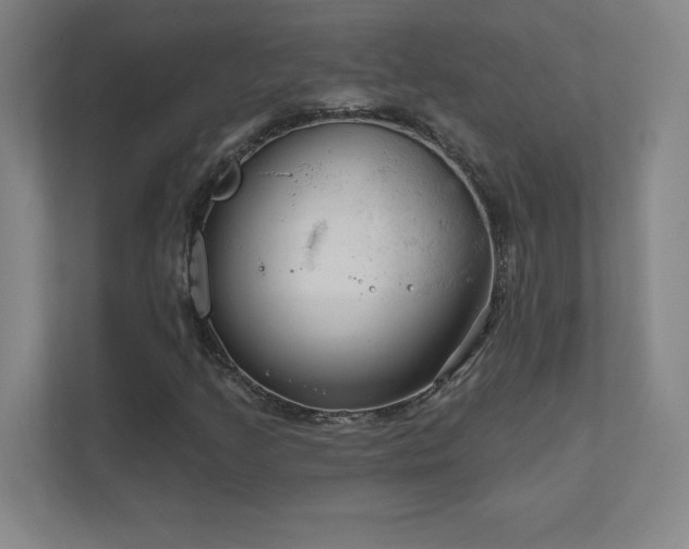 X0000111791205200907231136