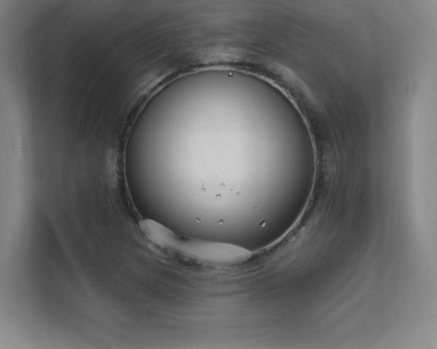 X0000111791217200907231136