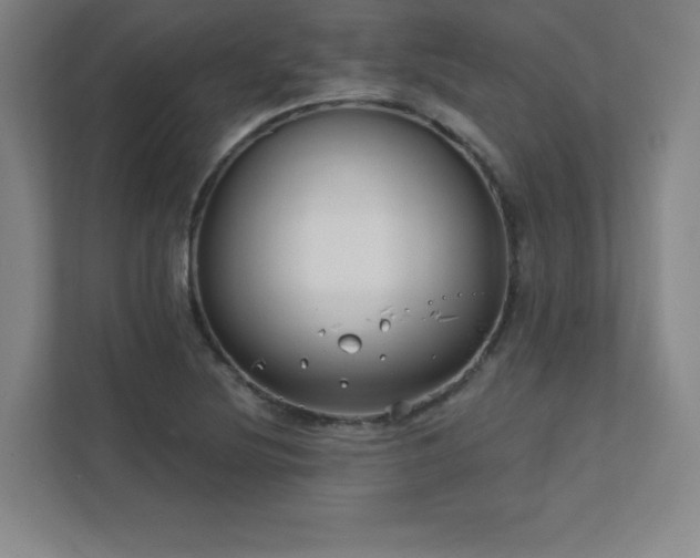 X0000111791220200907231136