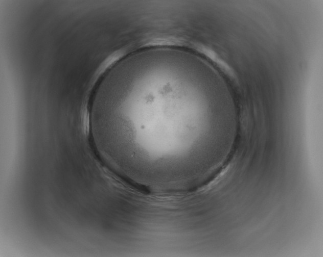 X0000111791221200907231136