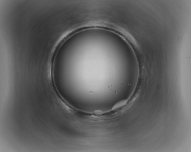 X0000111791224200907231136