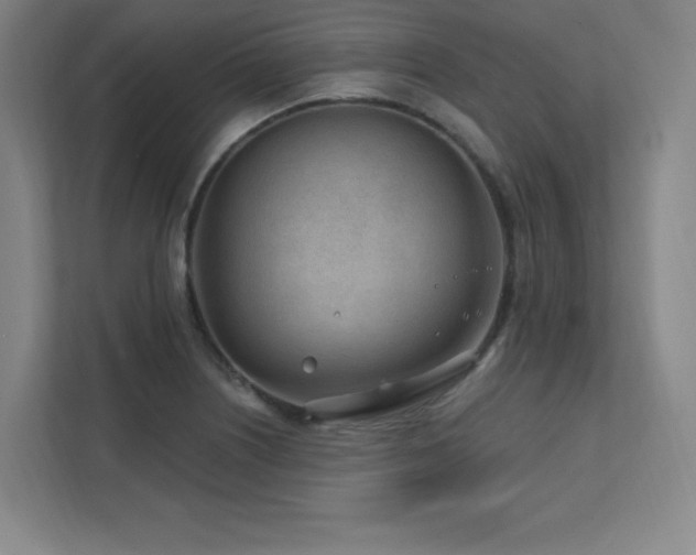 X0000111791226200907231136