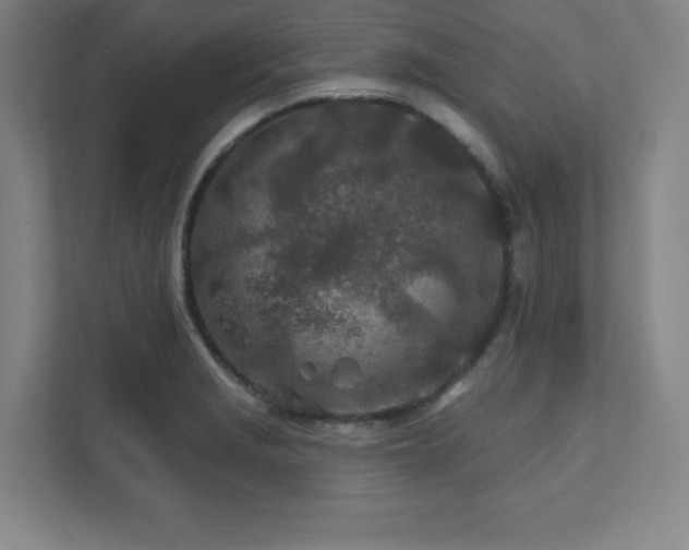 X0000111791229200907231136