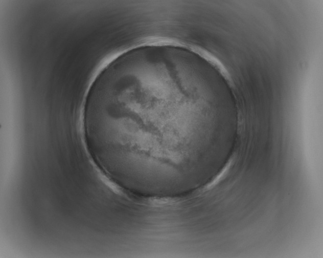 X0000111791231200907231136