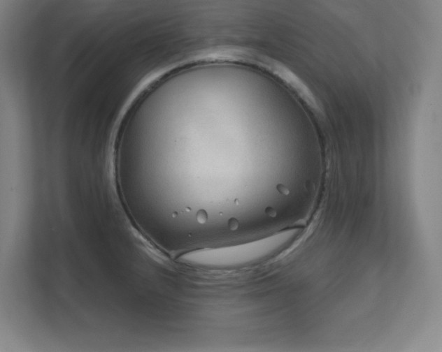 X0000111791232200907231136