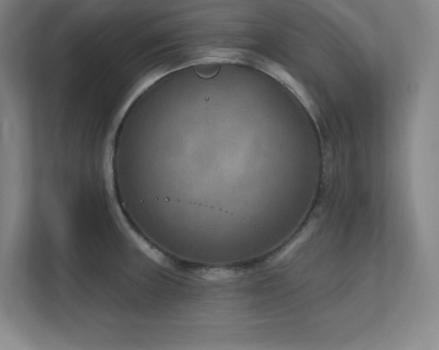X0000111791235200907231136