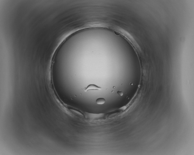 X0000111791236200907231136