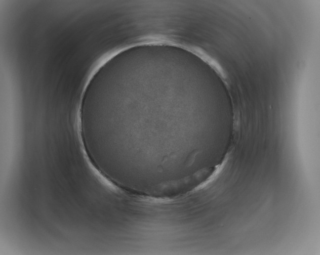 X0000111791239200907231136