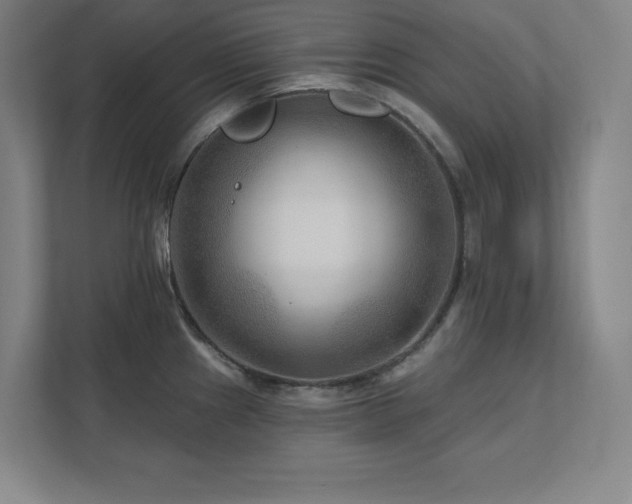 X0000111791241200907231136
