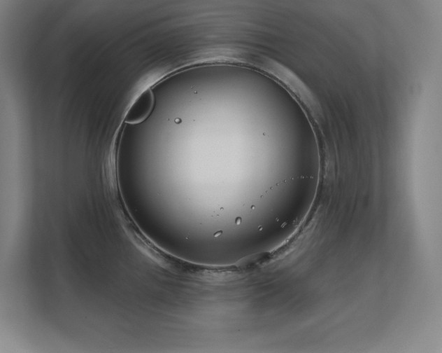 X0000111791242200907231136