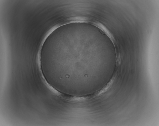 X0000111791243200907231136
