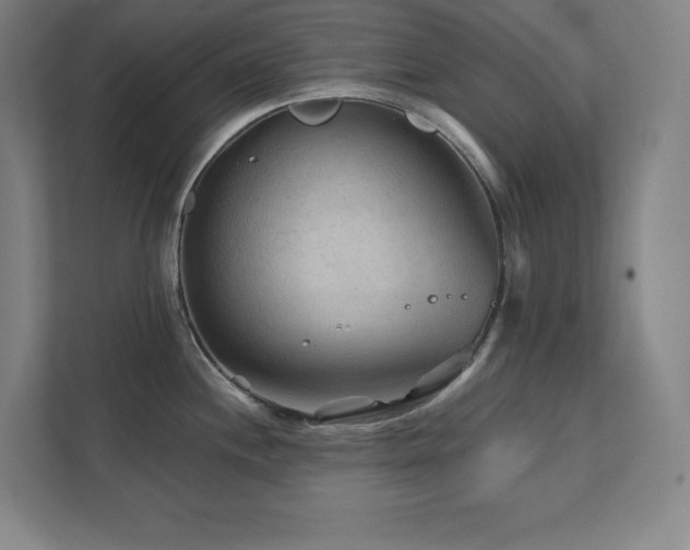 X0000111791244200907231136