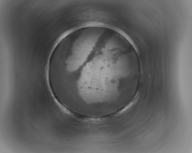 X0000111791245200907231136