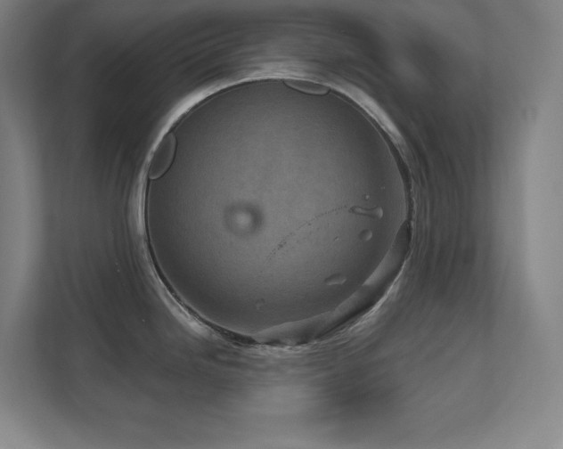X0000111791246200907231136