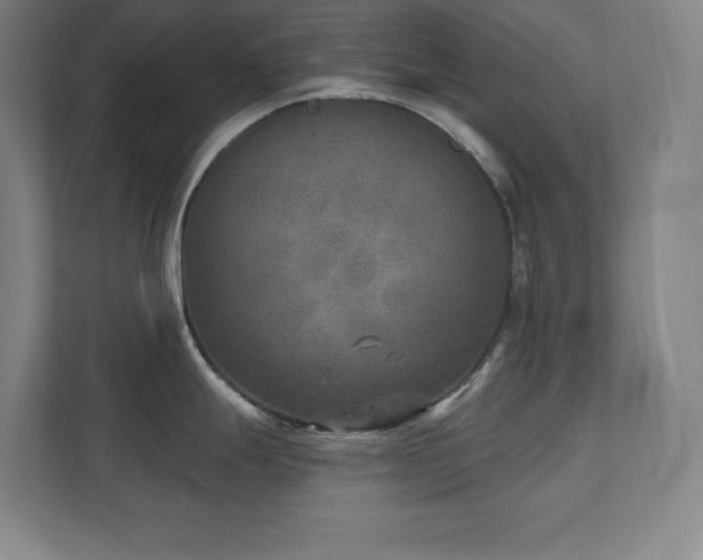 X0000111791247200907231136
