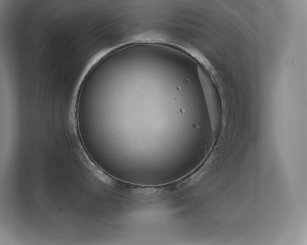 X0000111791248200907231136
