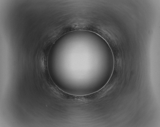 X0000111791250200907231136