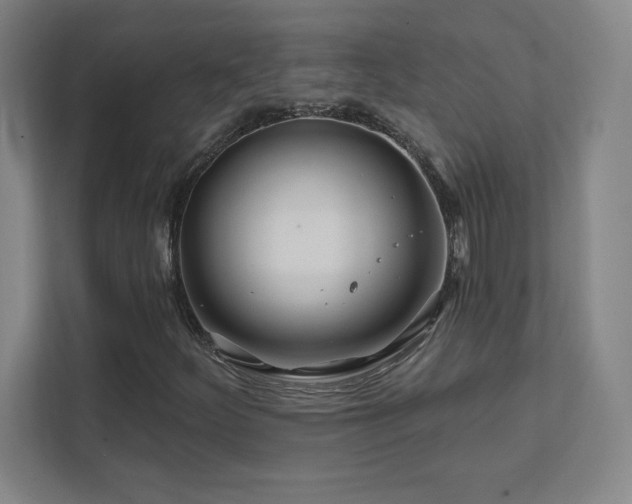 X0000111791252200907231136