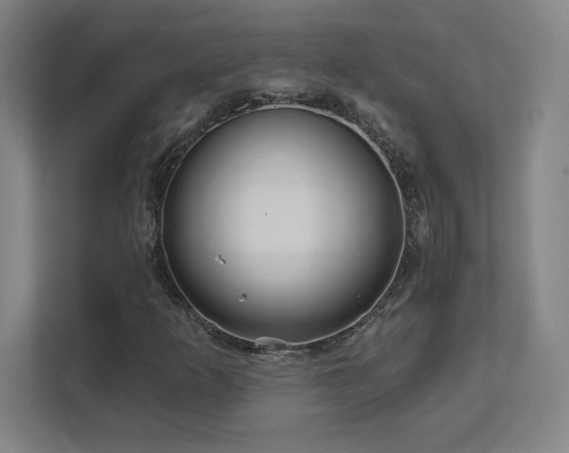 X0000111791253200907231136