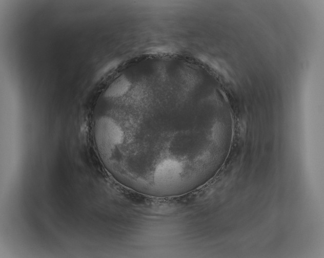 X0000111791254200907231136