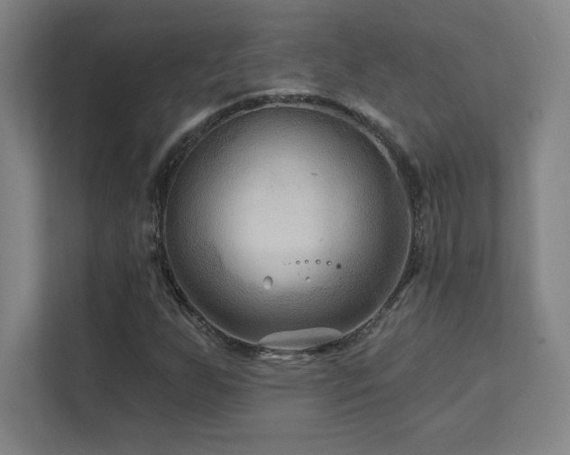 X0000111791255200907231136